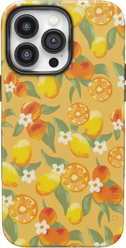 Positano | Dippin' Daisy's Italian Coast Case iPhone Case get.casely Classic + MagSafe® iPhone 14 Pro Max 