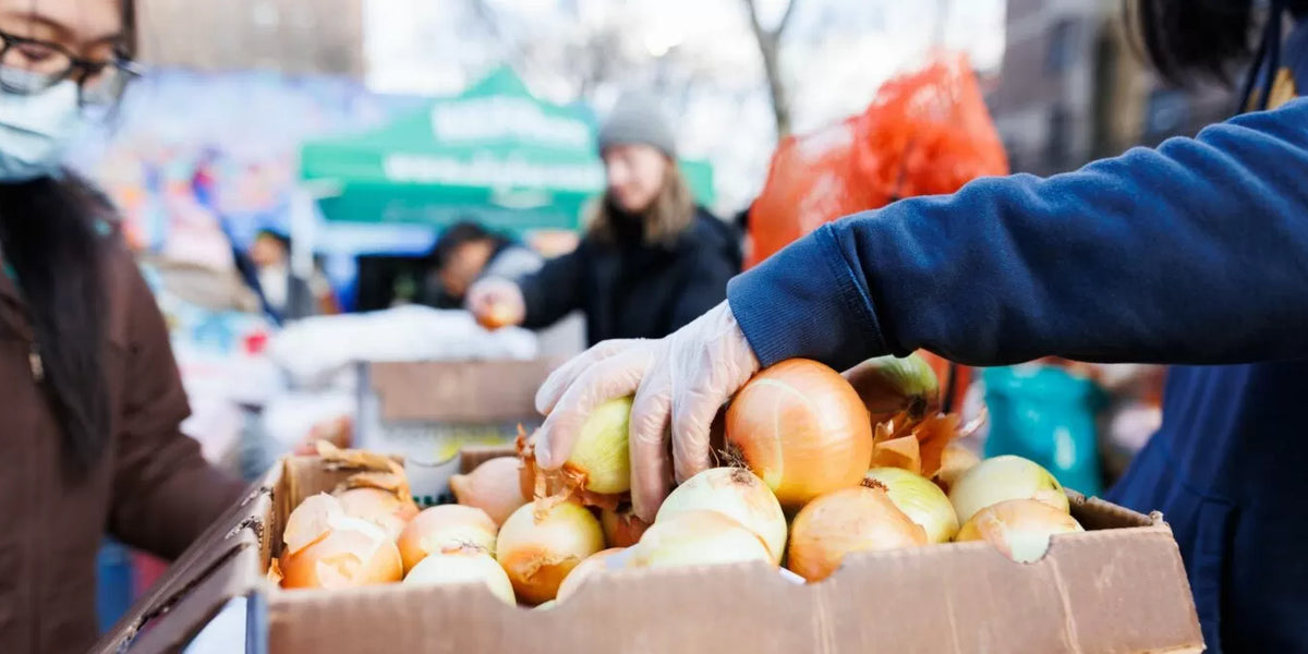 February Charity Partner: City Harvest