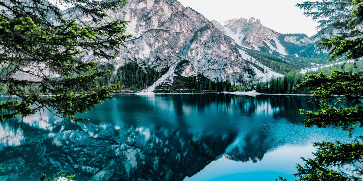 Bring the Outdoors In with These 6 Nature-Inspired Casely Cases