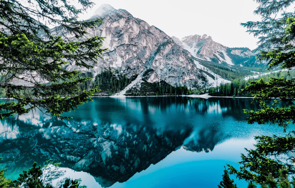 Bring the Outdoors In with These 6 Nature-Inspired Casely Cases