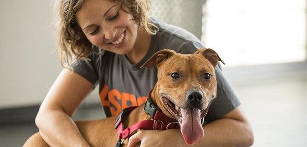 About the ASPCA - July’s #EveryCaseCounts Charity Partner