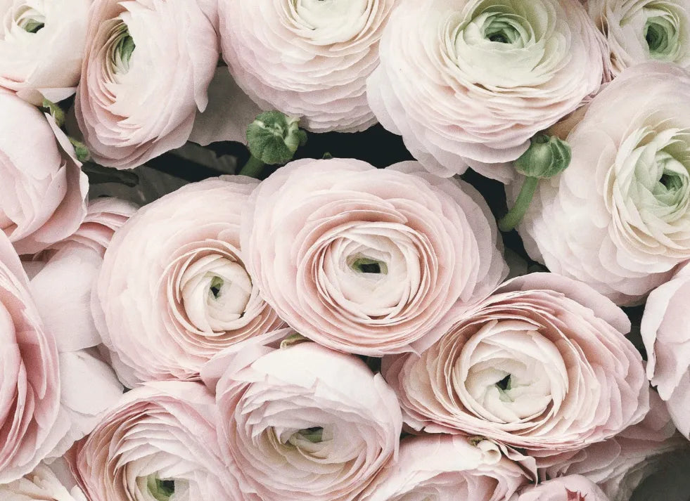 4 Classy Phone Cases for Sophisticated Chicas