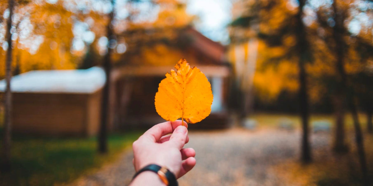 FALL in Love - Get These Complementary Fall-Themed Cases for You & Your S.O.