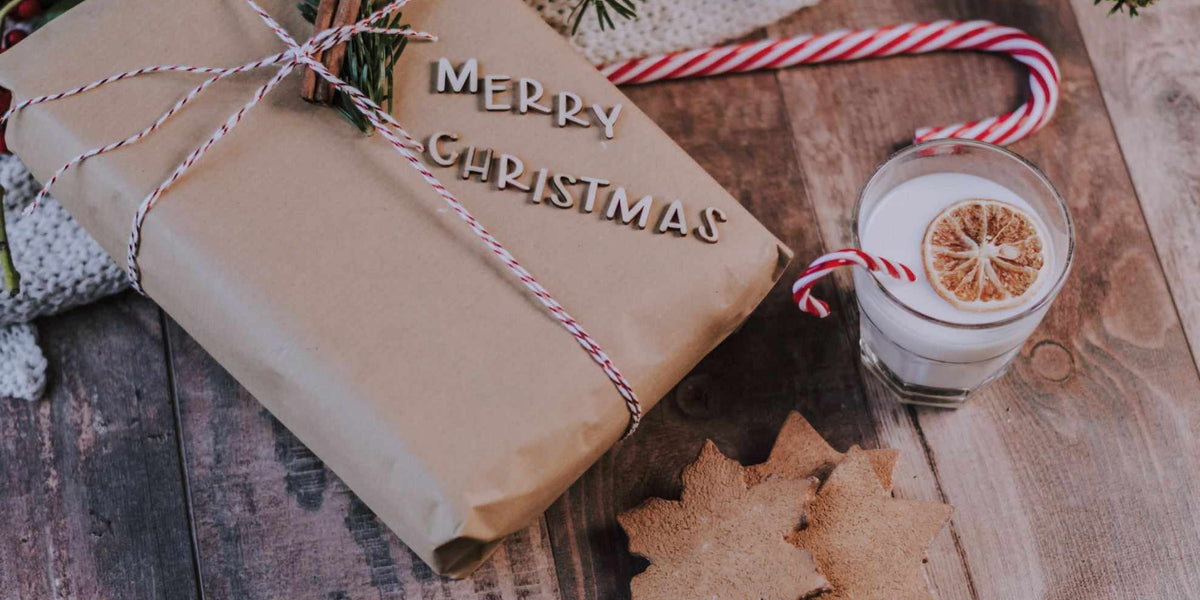 Got a new iPhone for Xmas? Try Our Top 4 Cases for Your Model!