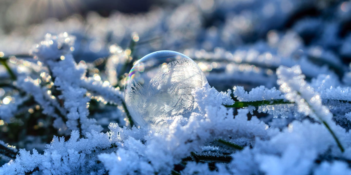 Stars and Snowflakes: Phone Cases that Align with Your 2024 Horoscope!