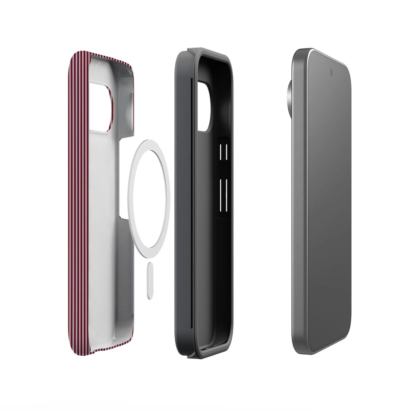 Stripes and the City | Tiny Pinstripe Case