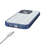 Cottage Stripe | Blue Floral Case