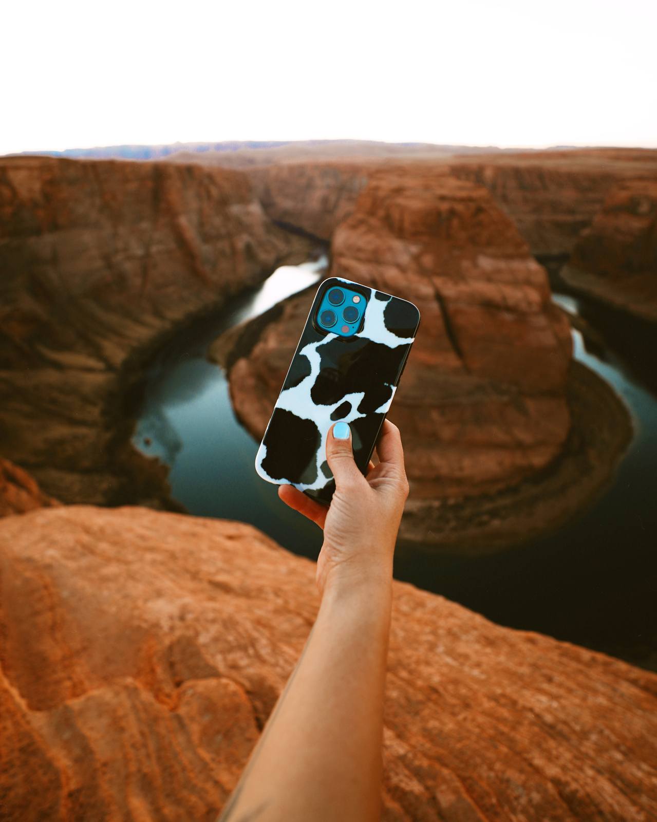 Current MOOd | Cow Print Case