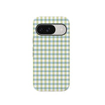 Pastel Picnic | Blue & Green Gingham Case
