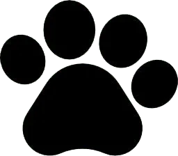 Get in Touch Foundation Charity Charity ASPCA 