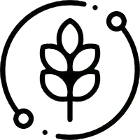 Get in Touch Foundation Charity Charity 