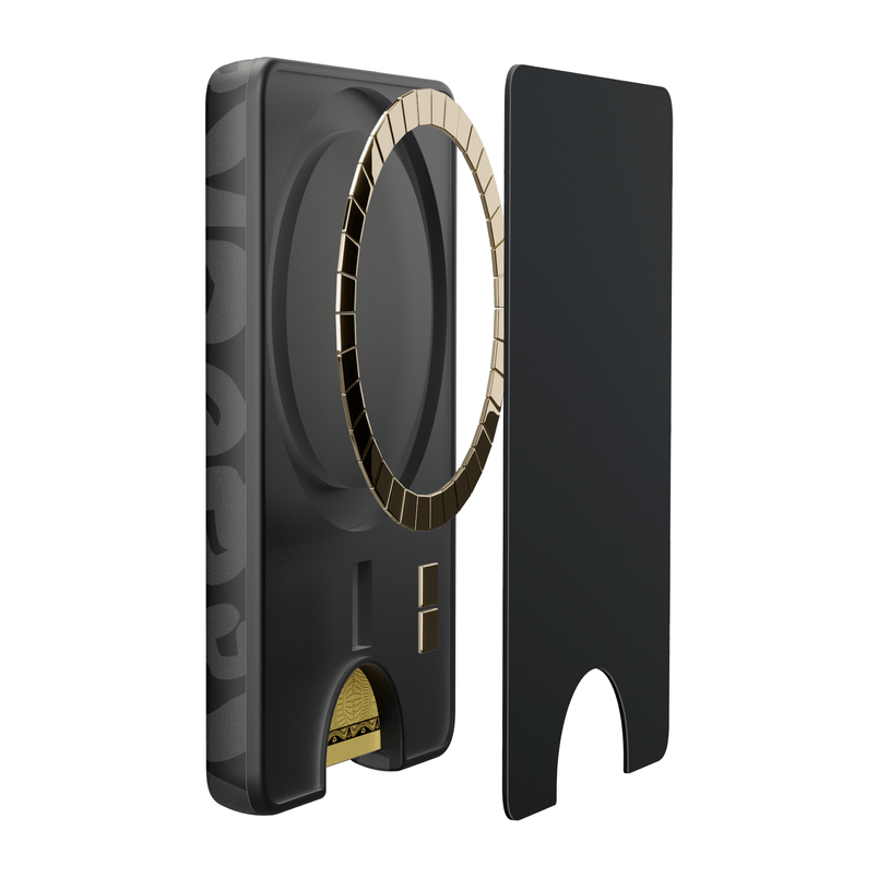 Into the Wild | Black Leopard MagWallet MagWallet get.casely 