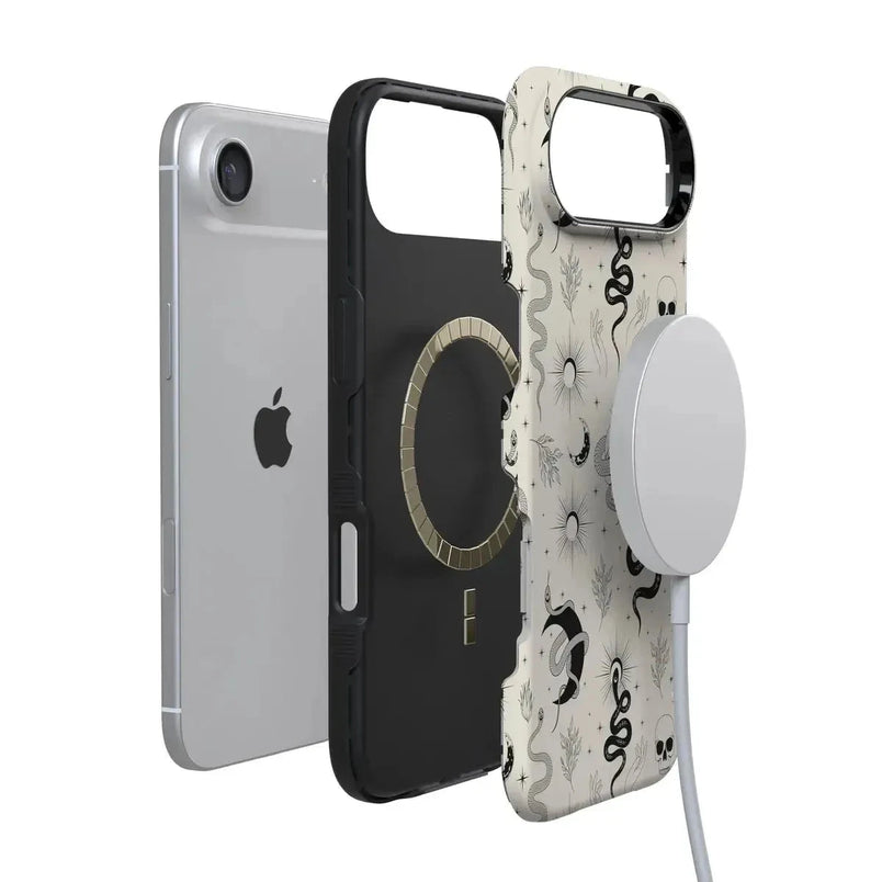 No Further Explanation | Snakes & Skulls Case Phone Case Casetry 