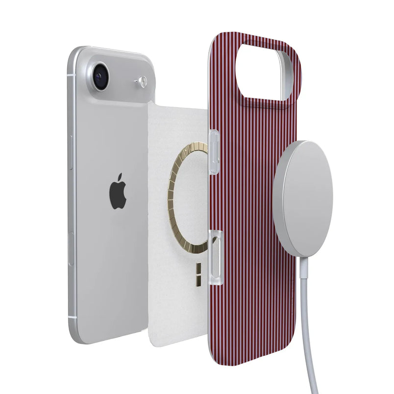 Stripes and the City | Tiny Pinstripe Case