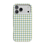Pastel Picnic | Blue & Green Gingham Case