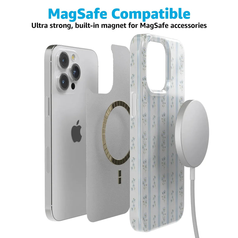 Cottage Stripe | Blue Floral Case