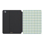 Pastel Picnic | Blue & Green Gingham iPad Case