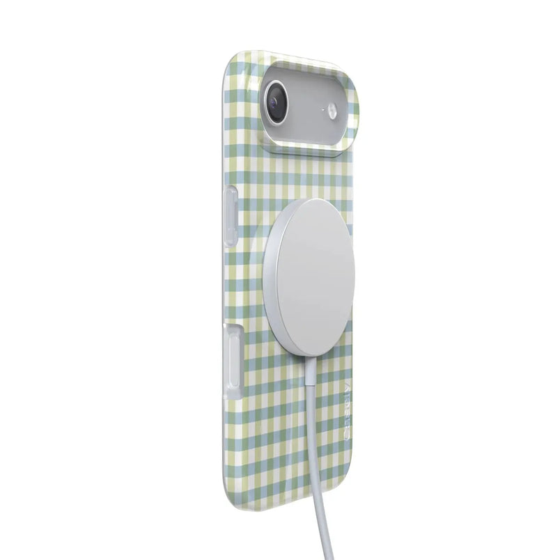 Pastel Picnic | Blue & Green Gingham Case