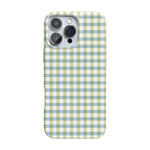 Pastel Picnic | Blue & Green Gingham Case