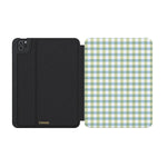 Pastel Picnic | Blue & Green Gingham iPad Case