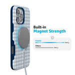 Pastel Picnic | Blue Gingham Case