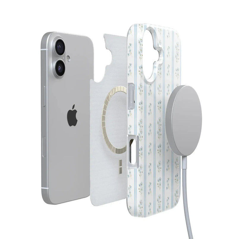 Cottage Stripe | Blue Floral Case