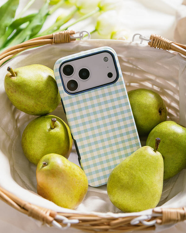 Pastel Picnic | Blue & Green Gingham Case