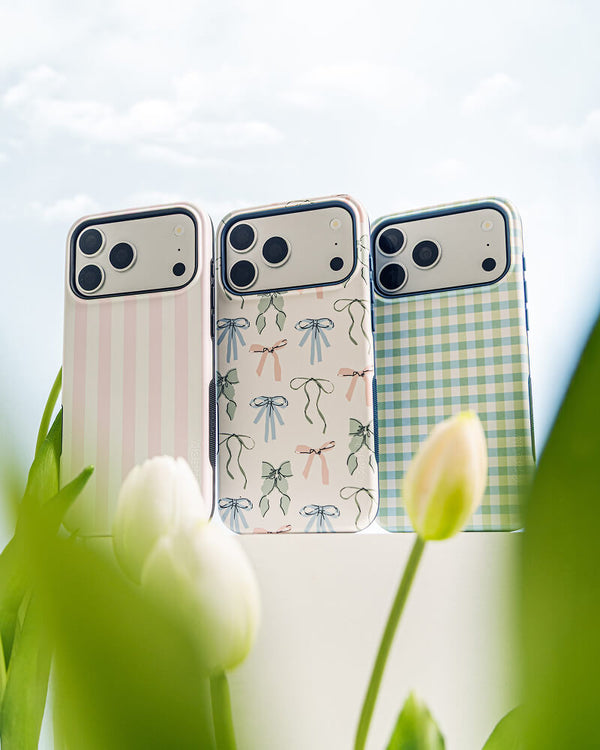 Pastel Picnic | Blue & Green Gingham Case