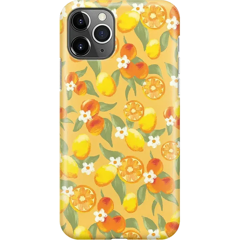 Positano | Dippin' Daisy's Italian Coast Case iPhone Case get.casely Classic iPhone 11 Pro Max 