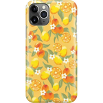 Positano | Dippin' Daisy's Italian Coast Case iPhone Case get.casely Classic iPhone 11 Pro Max 