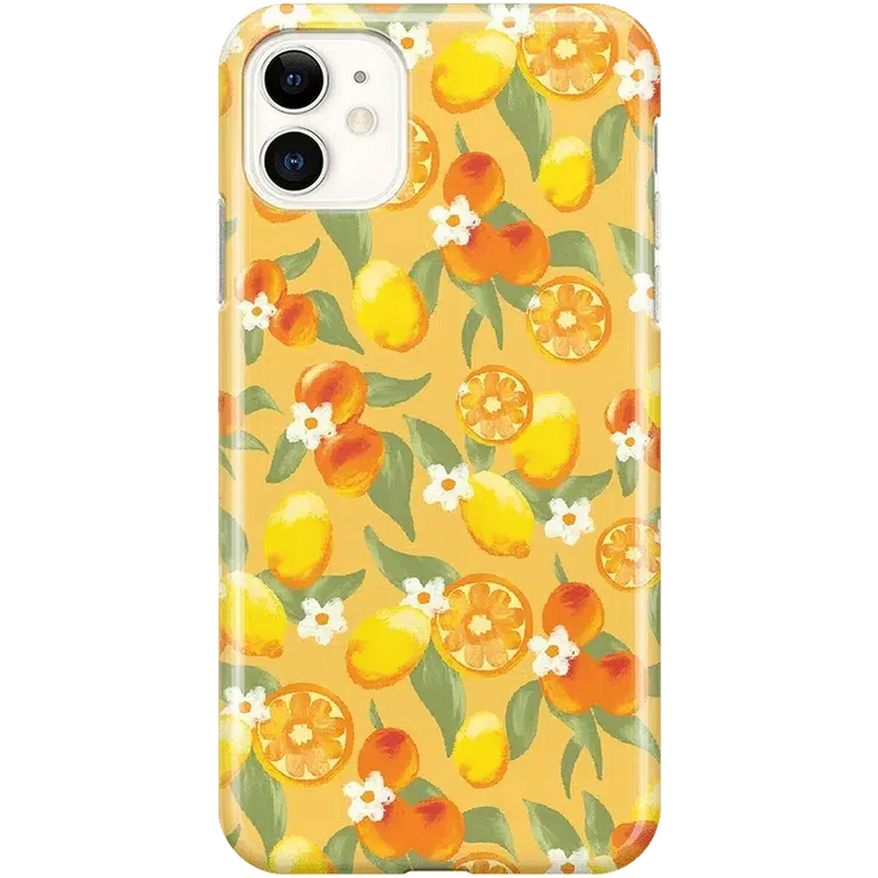 Positano | Dippin' Daisy's Italian Coast Case iPhone Case get.casely Classic iPhone 11 