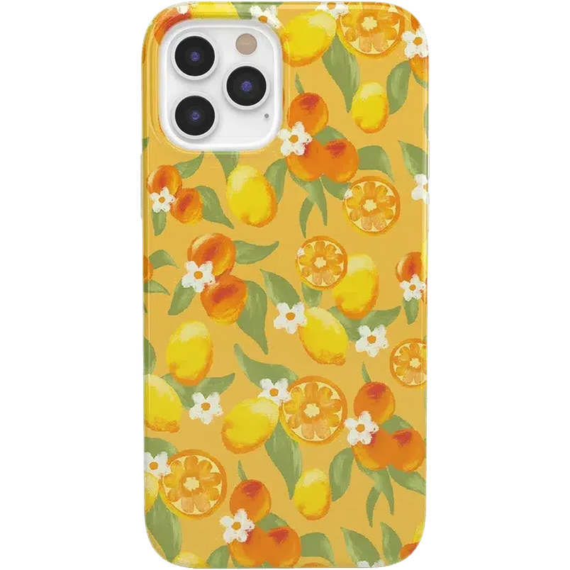 Positano | Dippin' Daisy's Italian Coast Case iPhone Case get.casely Classic iPhone 12 Pro Max 