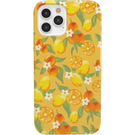 Positano | Dippin' Daisy's Italian Coast Case iPhone Case get.casely Classic iPhone 12 Pro Max 