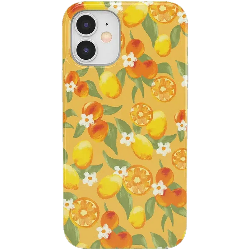 Positano | Dippin' Daisy's Italian Coast Case iPhone Case get.casely Classic iPhone 12 