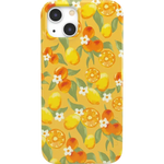 Positano | Dippin' Daisy's Italian Coast Case iPhone Case get.casely Classic iPhone 13 Mini 