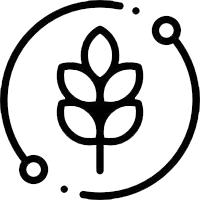 Kids in Need Foundation Charity Charity Feeding America 