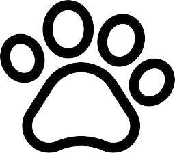 City Harvest Charity Charity 